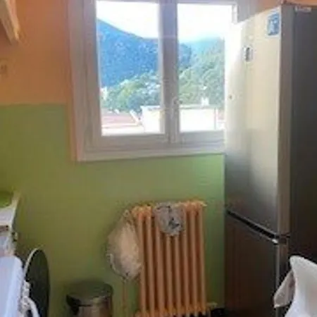 Apartment F2 A Amelie-les-bains Avec Terrasse, Parking Et Wi-fi, Proche Thermes Et Centre-ville - Fr-1-703-116 Amelie-les-Bains-Palalda