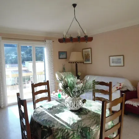 F2 A Amelie-les-bains Avec Terrasse, Parking Et Wi-fi, Proche Thermes Et Centre-ville - Fr-1-703-116 *