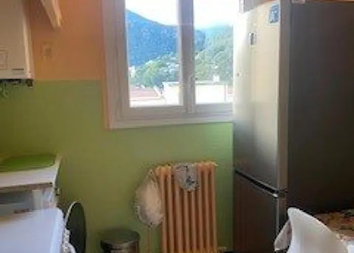 דירה F2 A Amelie-les-bains Avec Terrasse, Parking Et Wi-fi, Proche Thermes Et Centre-ville - Fr-1-703-116 אמלי-לה-באינס-פללדה
